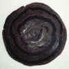 ammonite.jpg (40299 bytes)
